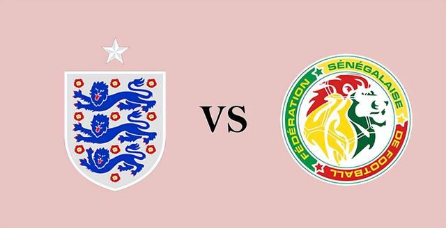 国内精品久久久久久野外